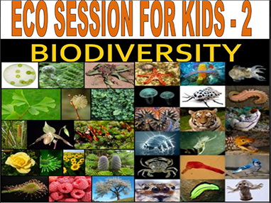 Eco session 2 for kids biodiversity
