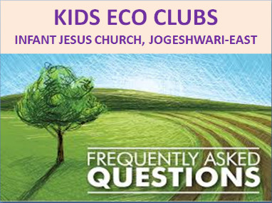 1 eco session-scc kids eco clubs