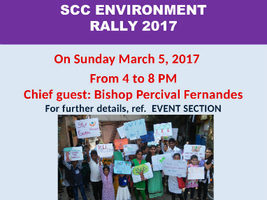 Scc environment rally plan