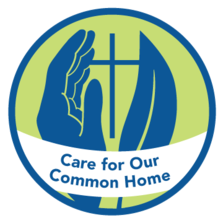 Care for our common home